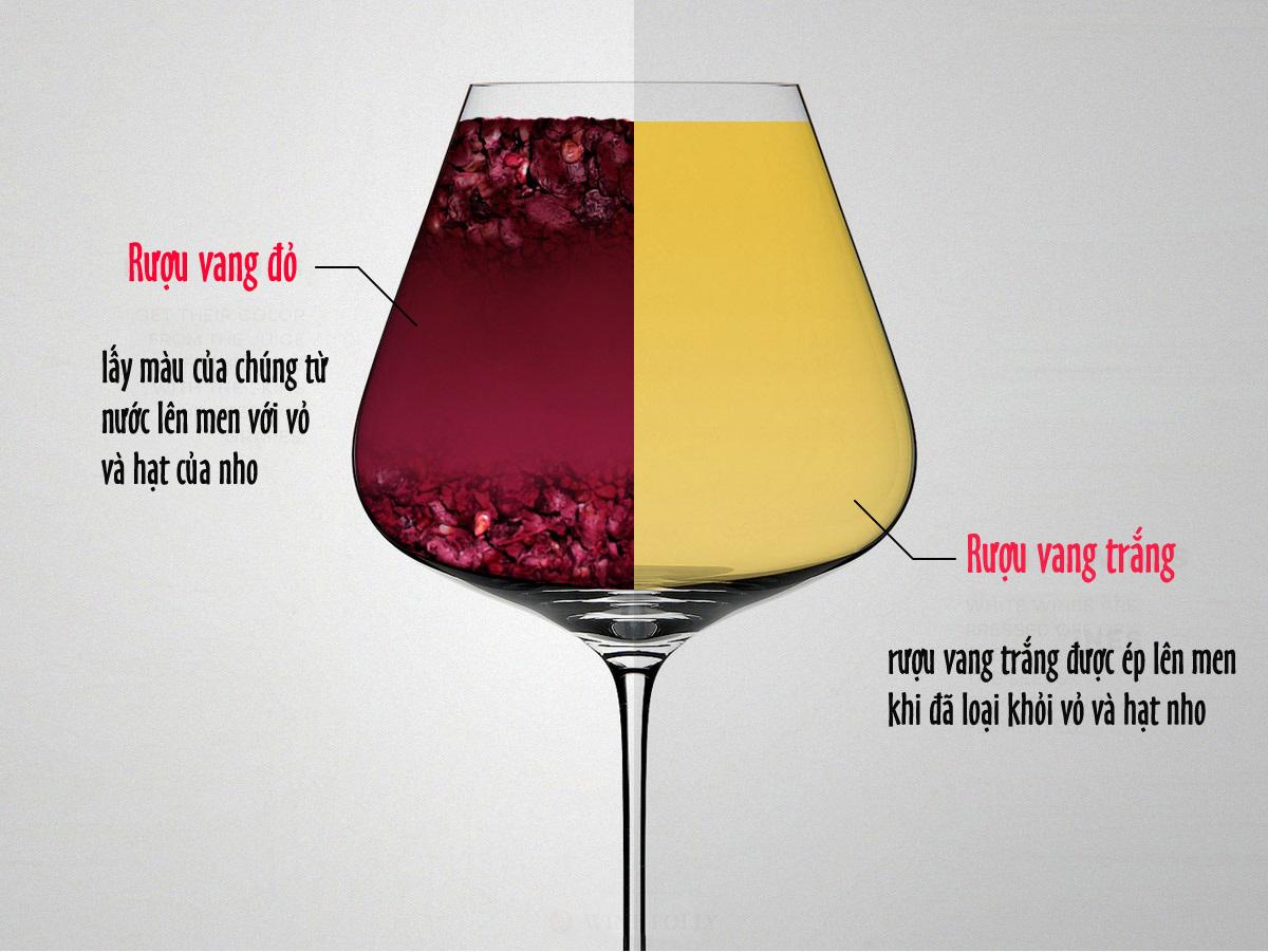 Rượu vang đỏ khác rượu vang trắng như thế nào?