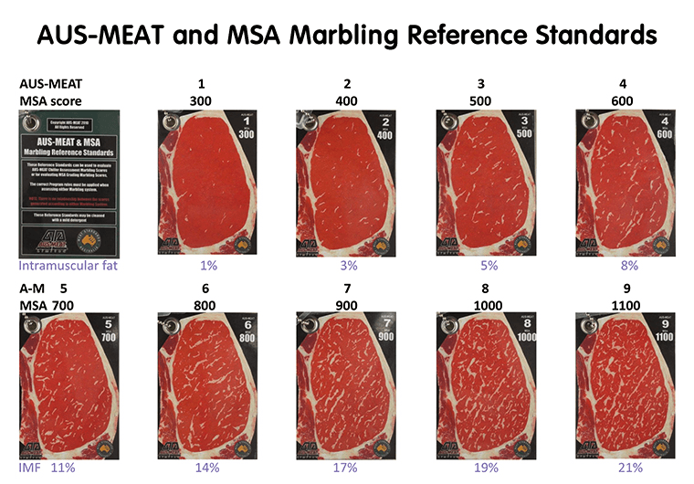 Đánh giá chất lượng thịt bò theo tiêu chuẩn của Úc