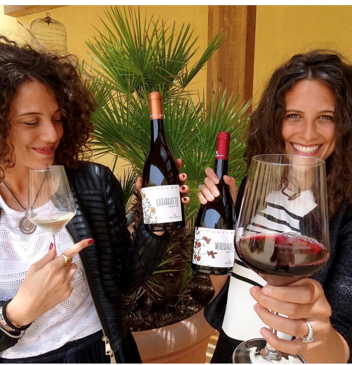 lợi ích sức khỏe của rượu vang đỏ Ý